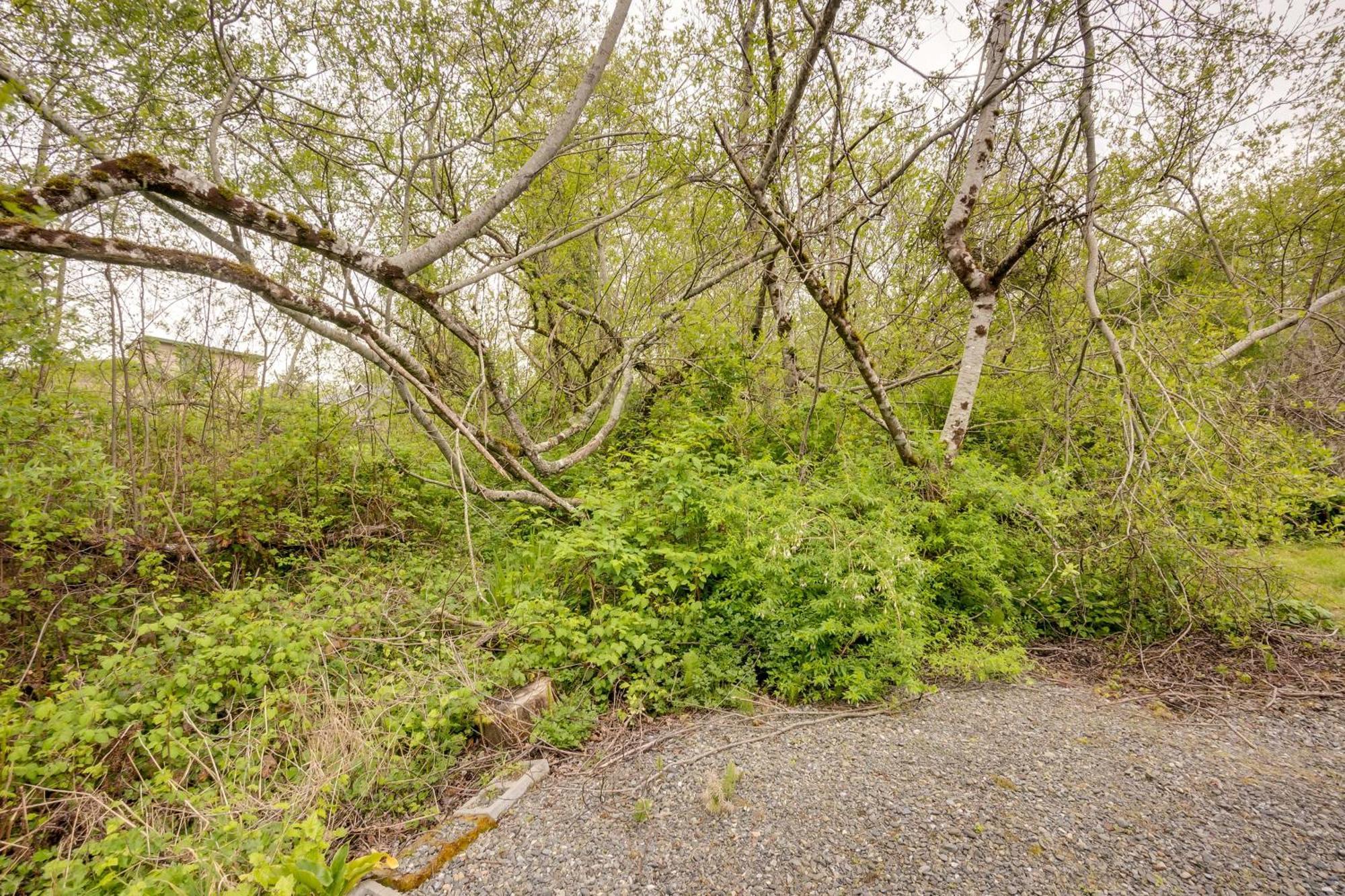 Soothing Studio With Lush Views 2 Mi To Beach! Smith River 외부 사진
